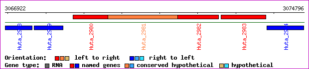 gene map