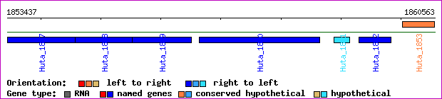 gene map