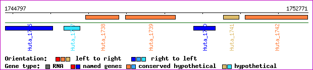 gene map