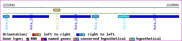 gene map