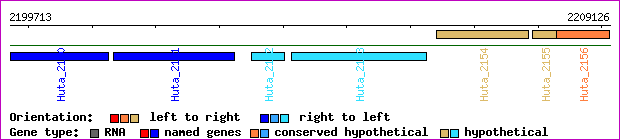 gene map