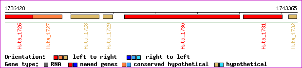 gene map