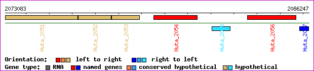 gene map