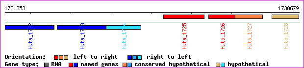 gene map