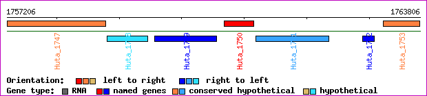 gene map