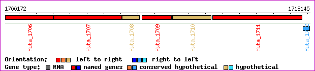 gene map