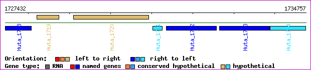 gene map