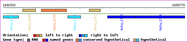 gene map