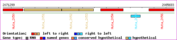 gene map