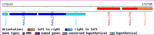 gene map