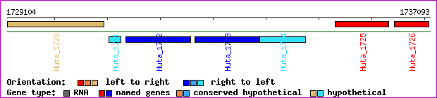 gene map