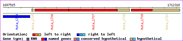 gene map