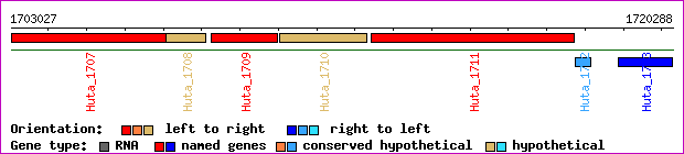 gene map