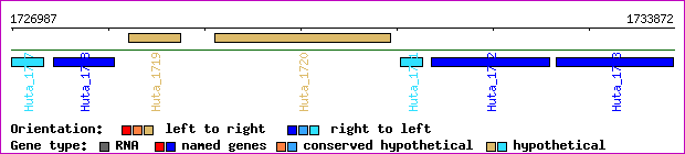 gene map
