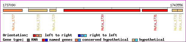 gene map