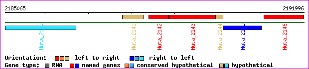 gene map