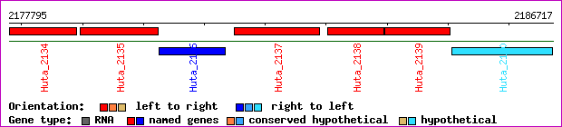 gene map