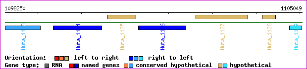 gene map