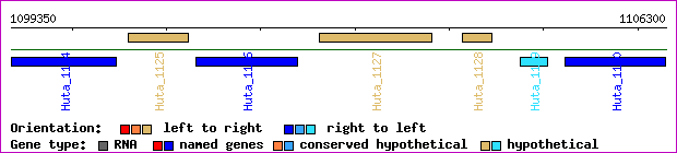 gene map