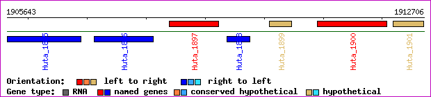 gene map