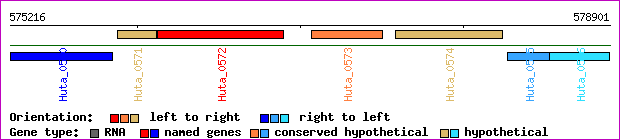 gene map