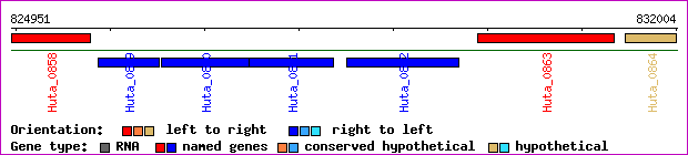 gene map