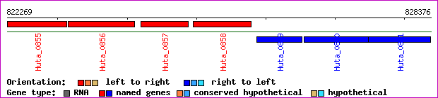 gene map