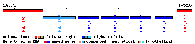 gene map