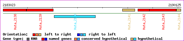 gene map