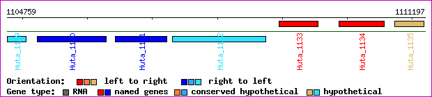 gene map