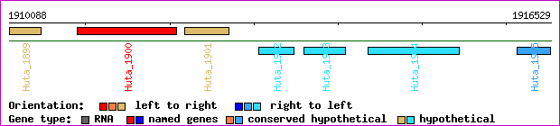 gene map