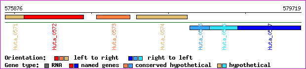 gene map