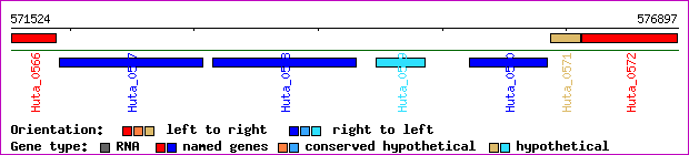gene map