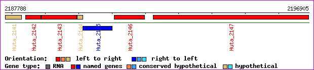 gene map