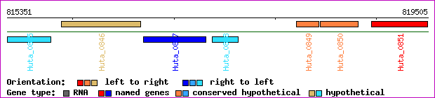 gene map