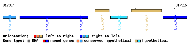 gene map