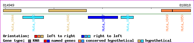gene map