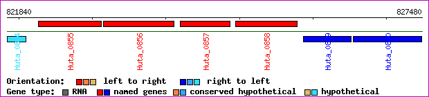 gene map