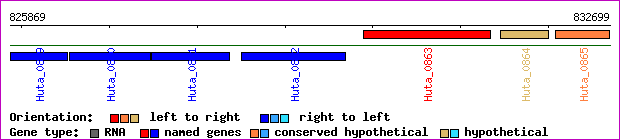 gene map
