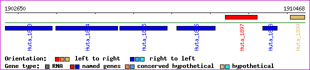 gene map