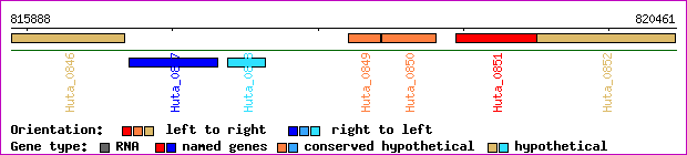 gene map