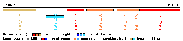 gene map