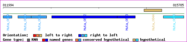 gene map