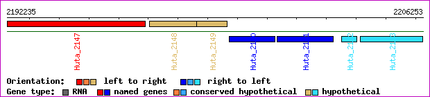 gene map