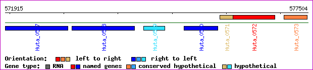gene map