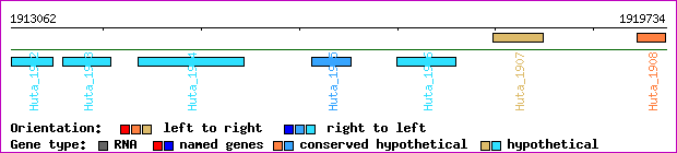 gene map