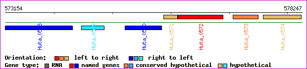 gene map