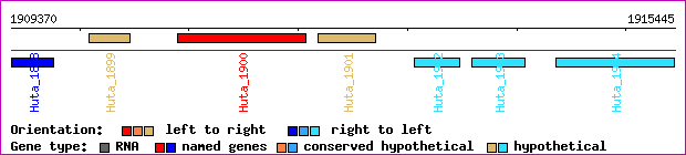 gene map