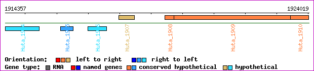 gene map