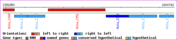 gene map